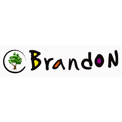 Brandon School & Residental Treatment