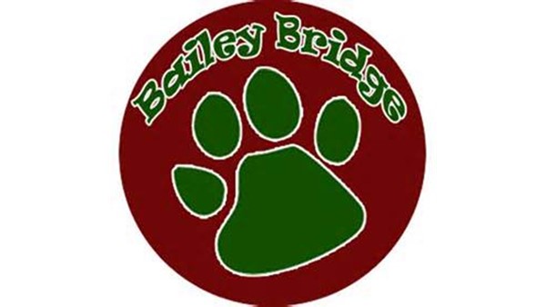 Bailey Bridge Middle School